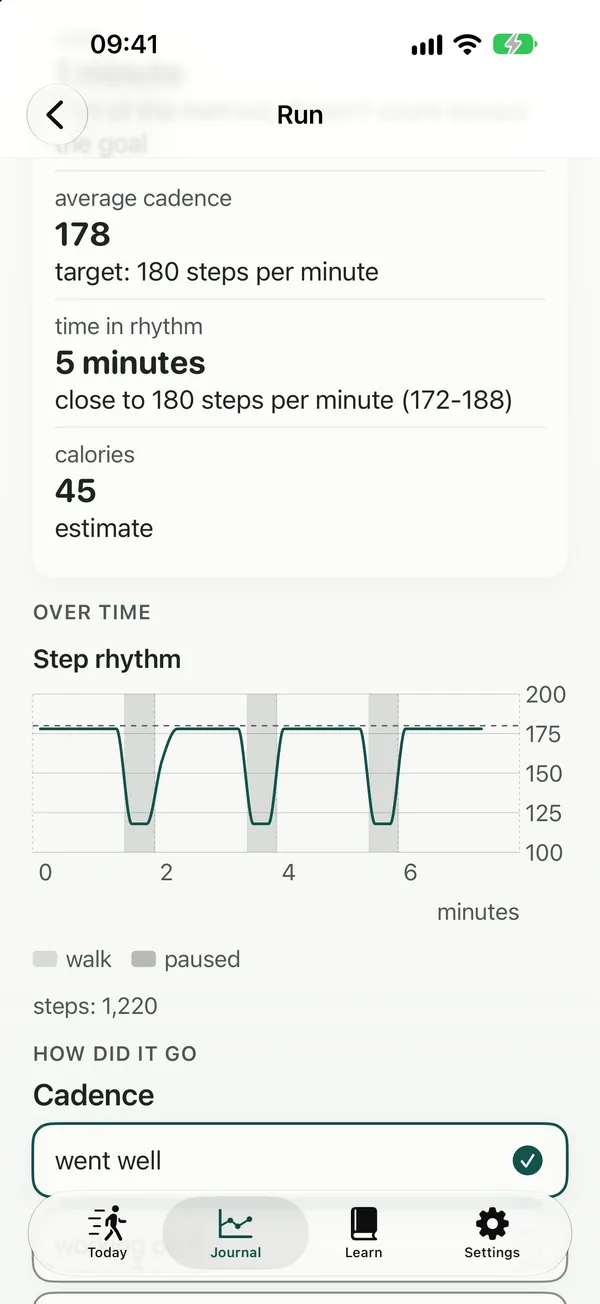 Run trace: step rhythm